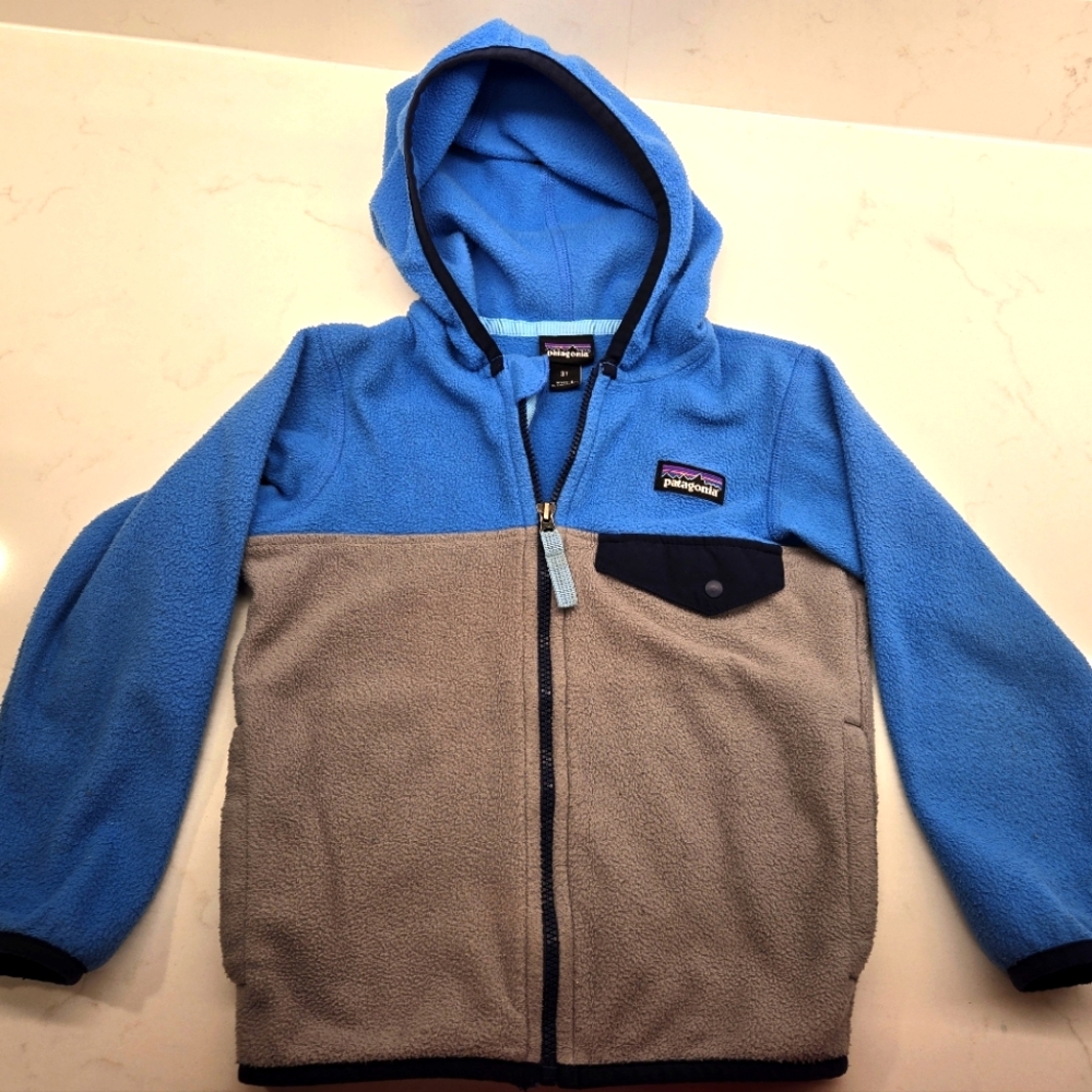 Patagonia Micro-D Snap-T Fleece Coat